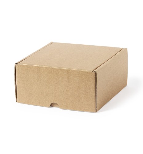 CAJA DE PRESENTACION 02