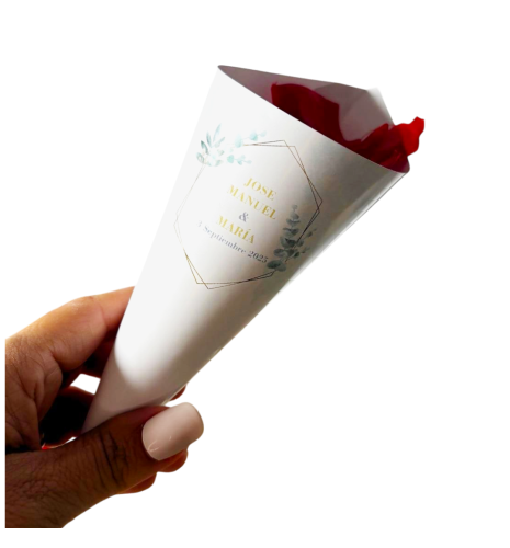CONO eucalipto