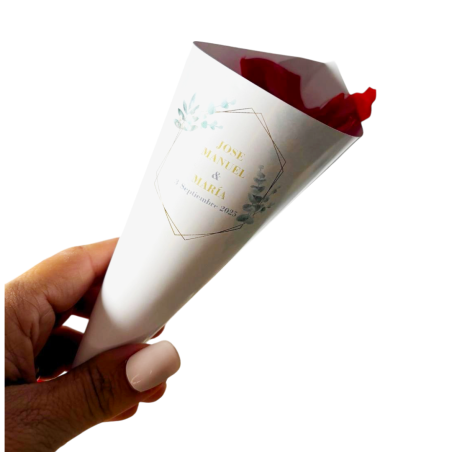 CONO eucalipto